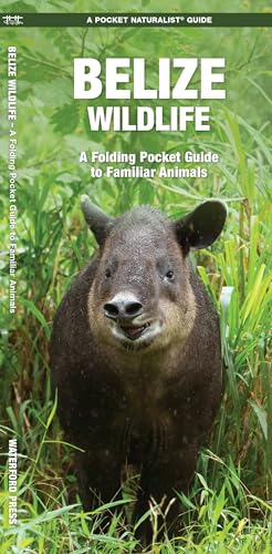 Belize Wildlife: A Folding Pocket Guide to Familiar Species: A Folding Pocket Guide to Familiar Animals (Pocket Naturalist Guide)